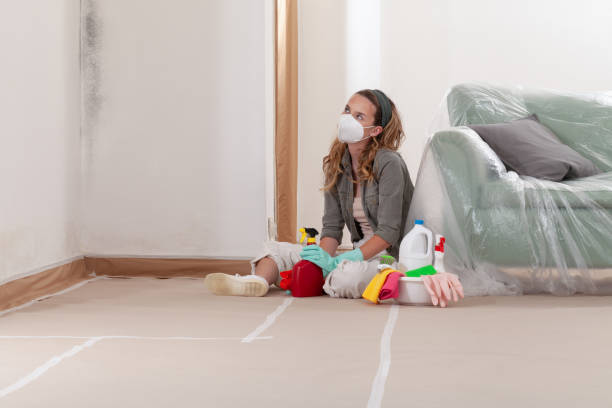 Reliable Mold Remediation contractor in Snow Camp, NC by WQB Mold Removal